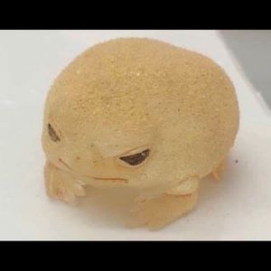 Meet your Posher, Colton